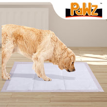 Load image into Gallery viewer, 50 Pcs 60x60 cm Absorbent Meadow Scent Pet Toilet Training Pads
