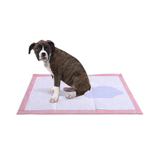 Load image into Gallery viewer, 200Pcs 60cm x 60cm Absorbent Cushion Lavender Scent Pet Training Pads
