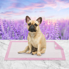 Load image into Gallery viewer, 200Pcs 60cm x 60cm Absorbent Cushion Lavender Scent Pet Training Pads
