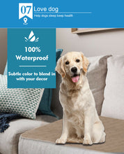 Load image into Gallery viewer, 2 Pcs 120x120cm Reusable Waterproof Pet Puppy Toilet Training Pads
