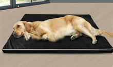 Load image into Gallery viewer, Soft Calming Pet Bed Pillow Mat - 5cm
