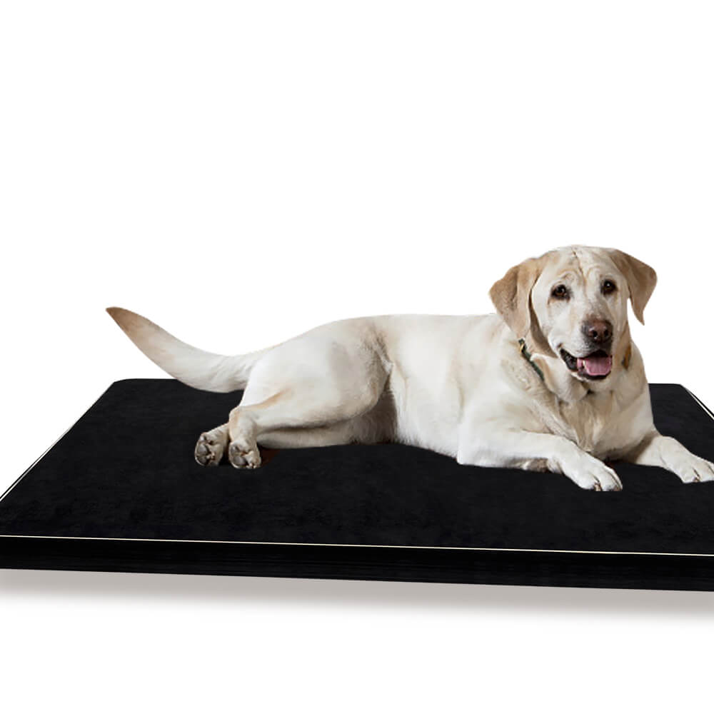 Soft Calming Pet Bed Pillow Mat - 5cm