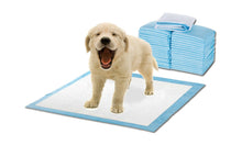 Load image into Gallery viewer, 400pcs 60x60cm Absorbent Puppy Cat Indoor Toilet Training Pads
