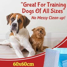 Load image into Gallery viewer, 400pcs 60x60cm Absorbent Puppy Cat Indoor Toilet Training Pads
